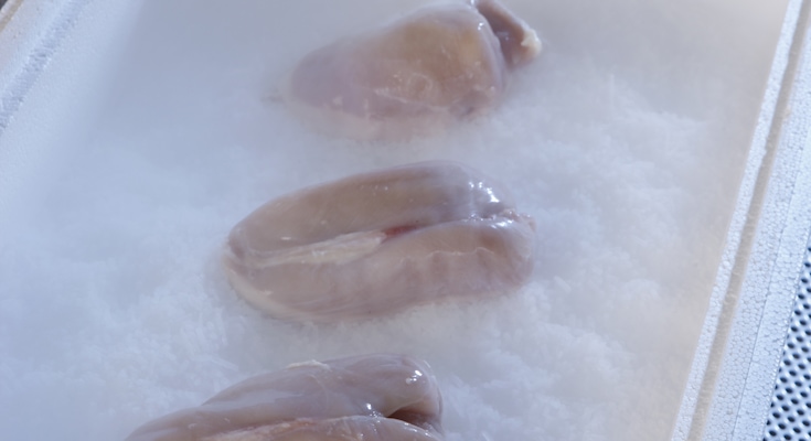 Dry Ice box with meat